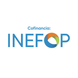 Logo INEFOP (RGB - Transparente)_Cofinancia 3